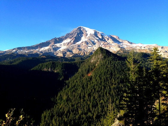 Mount Rainier National Park