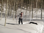 Uinta-Wasatch-Cache National Forest