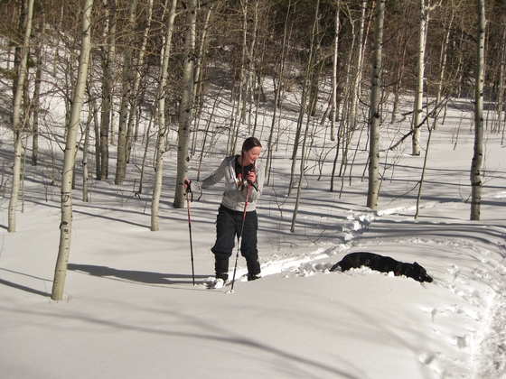 Uinta-Wasatch-Cache National Forest