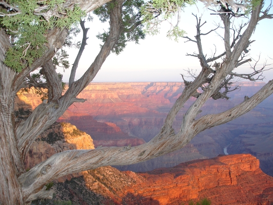 Grand Canyon