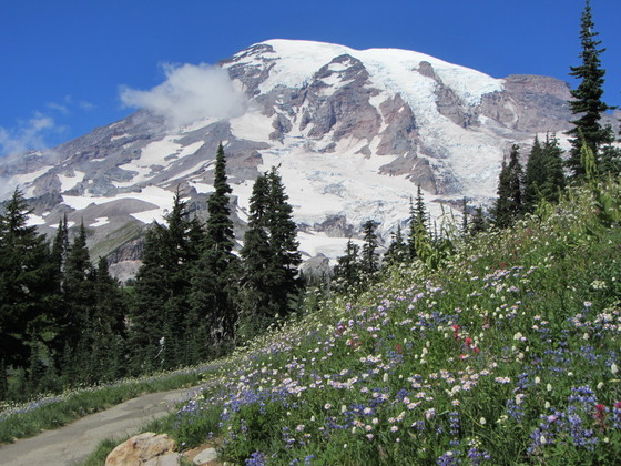 mt rainier national park