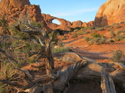 Arches National Park