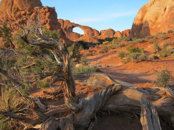Arches National Park