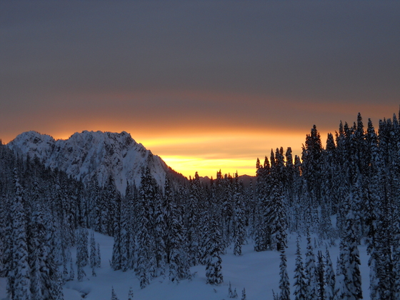 Mount Rainier National Park