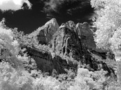 Zion National Park