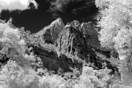 Zion National Park
