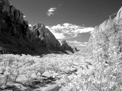Zion National Park