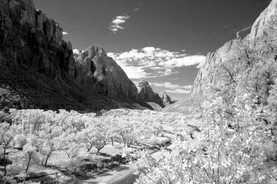 Zion National Park