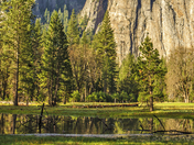 Yosemite National Park