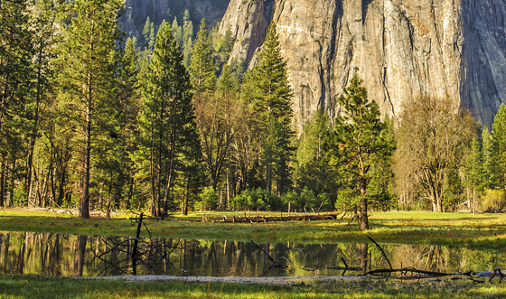 Yosemite National Park