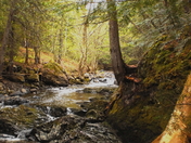 OUT FOR A DAY OF FISHING