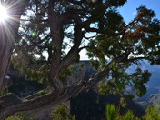 Grand Canyon NP
