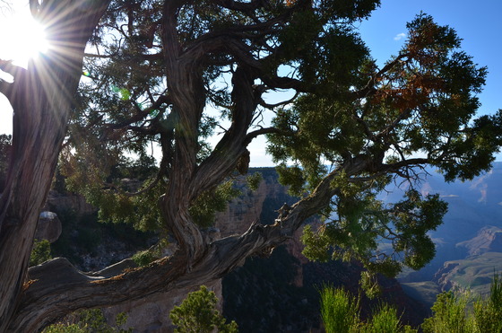 Grand Canyon NP