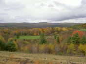 Allegheny National Forest
