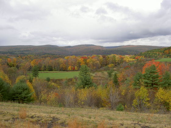 Allegheny National Forest