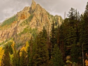 Uncompahgre National Forest