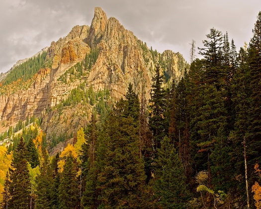 Uncompahgre National Forest
