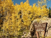 Uncompahgre National Forest