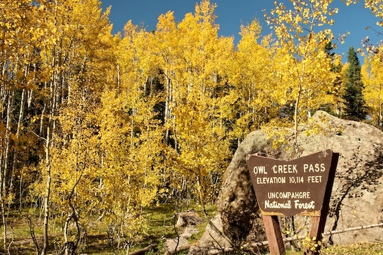 Uncompahgre National Forest