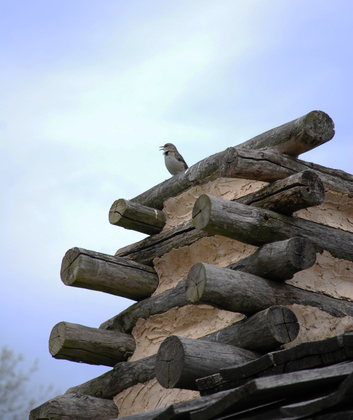 Valley Forge National Historical Park