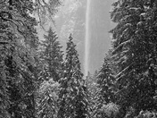 Yosemite National Park