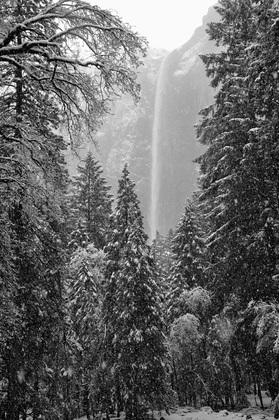 Yosemite National Park