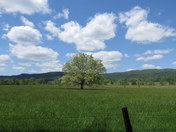 Great Smoky Mountains National Park 