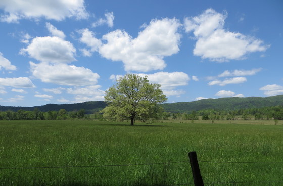 Great Smoky Mountains National Park 