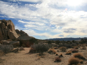 Joshua Tree National Park