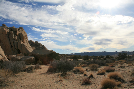 Joshua Tree National Park