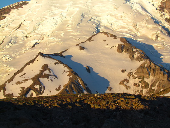 Mount Rainier National Park