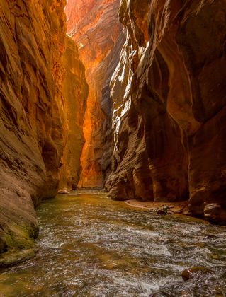 Zion National Park