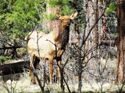 Grand Canyon National Park