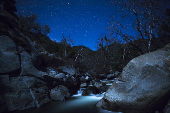 Sequoia National Park