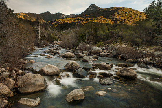 Sequoia National Park