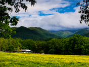 Great Smokey Mountains Cades Cove