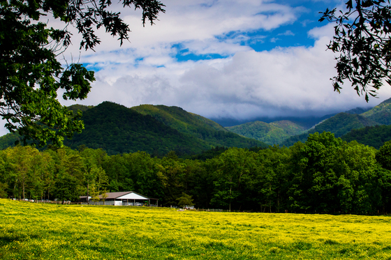 Great Smokey Mountains Cades Cove