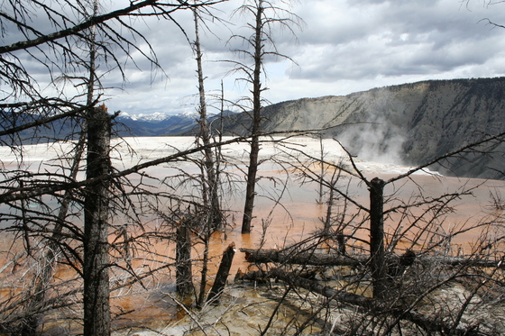 Yellowstone National Park