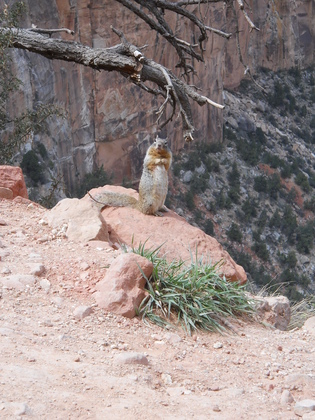 Grand Canyon National Park
