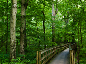 Mammoth Cave National Park