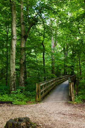 Mammoth Cave National Park