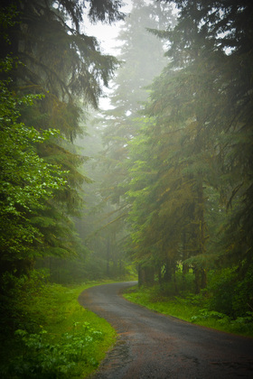 Siuslaw Nationl Forest