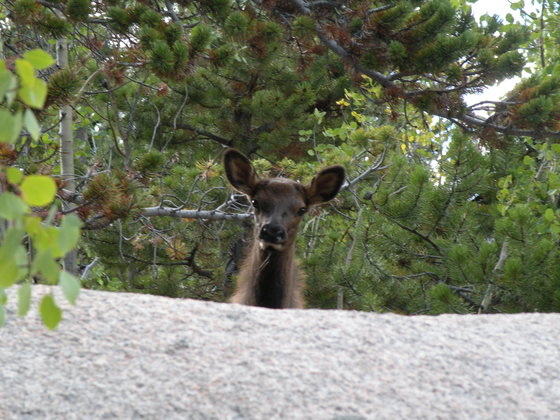 Rocky Mountain National Park