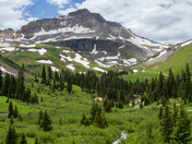 Uncompahgre National Forest