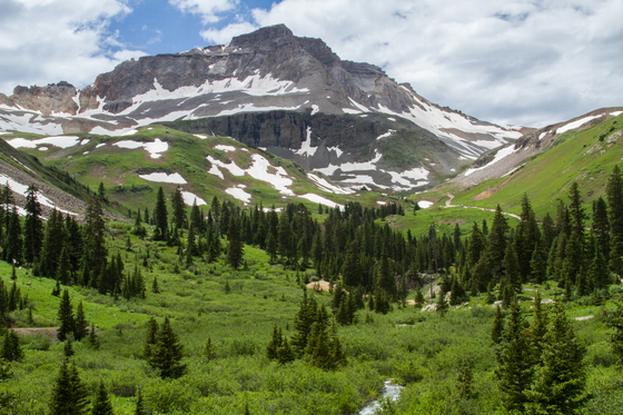 Uncompahgre National Forest