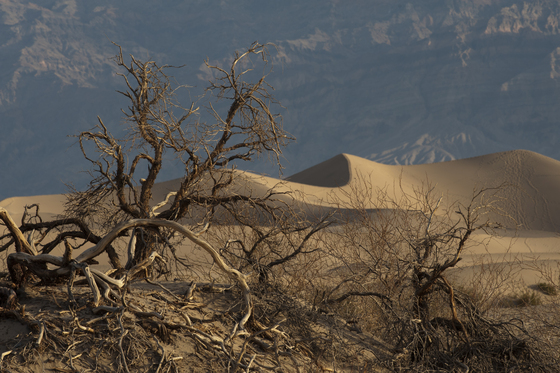 Death Valley National Park