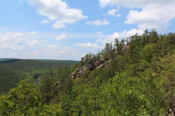 Honobia Creek Wildlife Management Area