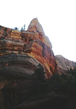 Zion National Park