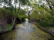 IRWD San Joaquin Marsh & Wildlife Sanctuary