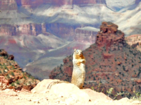 Grand Canyon